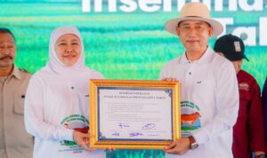 Gambar-WhatsApp-2025-11-24-pukul-19.14.57_96e2797f